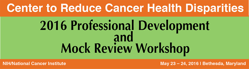 2016 Professional Development and Mock Review Workshop: 